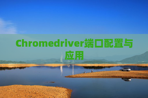 Chromedriver端口配置与应用